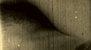 vintage retro erotic art collection timeless allure