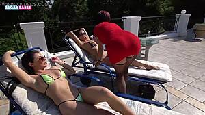 Oiled Lesbians Rubbing Wet Pussies to Explosive Orgasms!