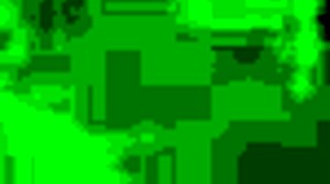 Latina Amateurs Beg for Monster Cock Cumshots on Tits!