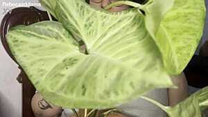 big natural tits wiggle temptingly for playful tease