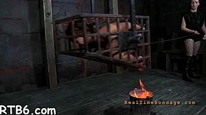 four angels crammed in tiny cage 😈 rough bdsm sucking balls!
