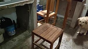 lonely peruvian wife cooks then feeds hubby her wet shaved pussy lunch homemade