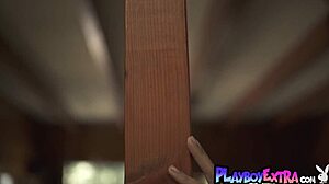 smoking ebony babe brookliyn wren strips huge natural tits?