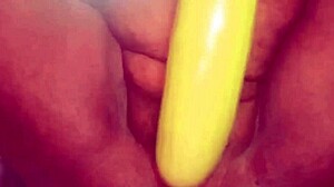 wet chubby indian desi bhabhi masturbates juicy pussy on fat monster cock