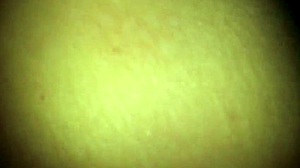 wife's early anal prep gentle thrusts building addiction 😈🍑💦