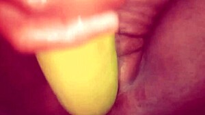 wet chubby indian desi bhabhi masturbates juicy pussy on fat monster cock