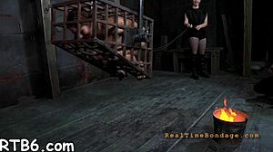 four angels crammed in tiny cage 😈 rough bdsm sucking balls!