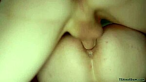 shemale dommes slam anal into submissive men relentlessly