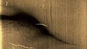 Vintage Erotic Scenes from Retro Era