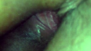 Gordinha Puta Offers Curvy Prostitute Services Discreetly