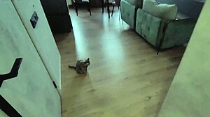 I caught my pretty wife bending over then fucked her tight ass doggystyle to creampie