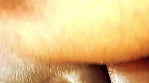i love licking bhabhi's big tits before devar doggystyles her juicy pussy
