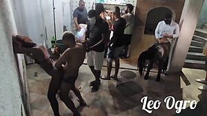 Whoa, chubby Nana Diaba's velvet mouth sucks in wild Brazilian orgy with Leo Ogro crew!