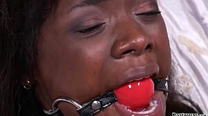 yo strapped ebony babe takes that interracial pounding 😈🍆💦