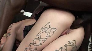 blonde faye runaway i mean gets assfucked by bbc rough