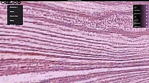 he fucks a prostitute hard right in roblox world non-stop action