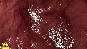 i swallowed huge loads from tall giantess alexstrasza in vore cartoon belly fantasy