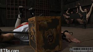 Four petite 18+ angels crammed tightly inside minuscule confinement cage for kinky play