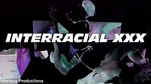 magenta lexx chases the cat with street dawgz