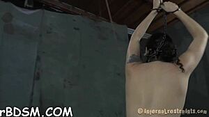 ravishing brunette bound slave sucks toy deep in bdsm fetish masturbation session