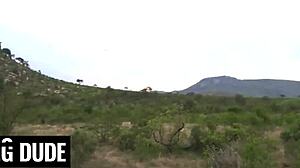 Ebony date rips clothes deepthroats big cock first time