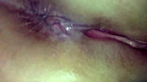 chubby bbw wife creampie compilation homemade cumshots