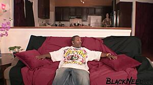 Brunette amateur cum in mouth