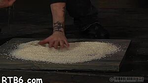 couple punishes shaved pussy rough in bdsm domination