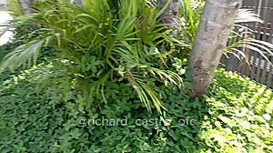 18yo latina CAUGHT SUCKING pornstar's cock on BUS leak!