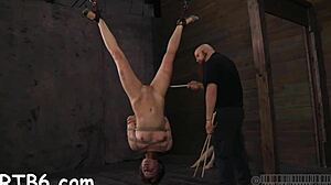 couple punishes shaved pussy rough in bdsm domination