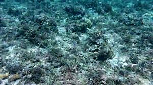 Whoa! Skinny Teen Shows Off Huge Poolside Toy in Narrow Ass Play!