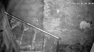 Hidden cam catches busty brazilian milf fucking stepson