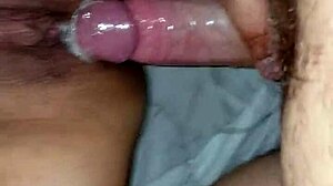 argentina sin forro raw pounding heat