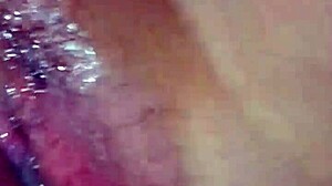 first time hubby licks my juicy hairy pussy closeup missionary creampie tight?