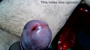 frottola1987 delivers intense close-up solo orgasm and cumshot retro style