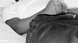 wrestling nicknames like nwo llamasr spark more free ideas