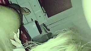 jackpotproductions blonde bombshell rides john hancock monster bbc 🍑💦🔥