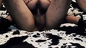 wife grinds cowgirl in sheer erotic mesh bodysuit tease