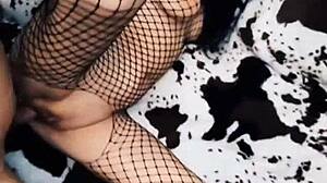 wife grinds cowgirl in sheer erotic mesh bodysuit tease