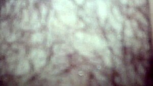 Wife Sucks Dildo While Hubby Double Penetrates Her Pussy in Homemade Love