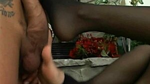 Beauty in lingerie spreads sexy legs wide open!