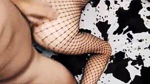 wife grinds cowgirl in sheer erotic mesh bodysuit tease