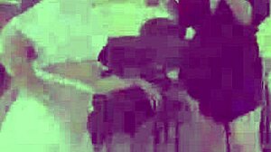 colombian bisexual latinas lick curvy asses poolside in lesbian threesome orgy