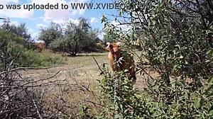 savannah vixen chills outdoors 🌳😊