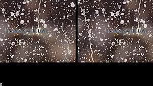 euro lesbians strip tease then finger shaved pussies while pissing