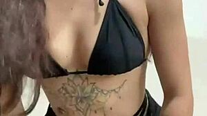 Novinha dances teases strips fishnets full brazilian show