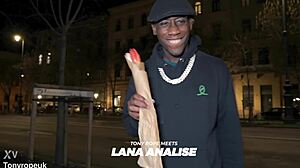 Tony Rope Ravages Lana Analise's Big Tits And Ass