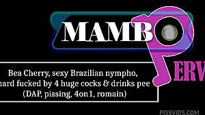 bea cherry brazilian nympho anal fucked by 4 cocks