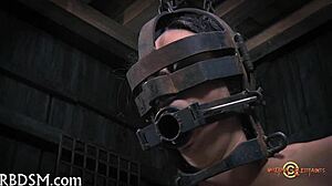 Porn Punished With Hard Free Punishment Scenes