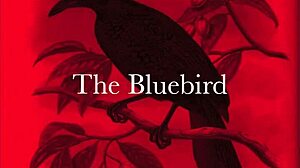 vintage lesbian orgy unleashes hairy pussy gangbang frenzy